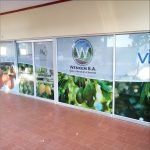 Oneway vision contravision window branding